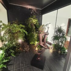 508734368_18362917888177279_5758486484523716273_n.