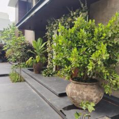 508690257_18362917876177279_7835772787394392240_n.