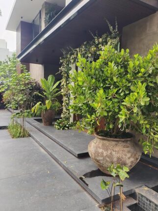 508690257_18362917876177279_7835772787394392240_n.