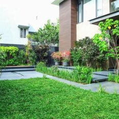 528726541_18368349463177279_9091217998192195421_n. (1)